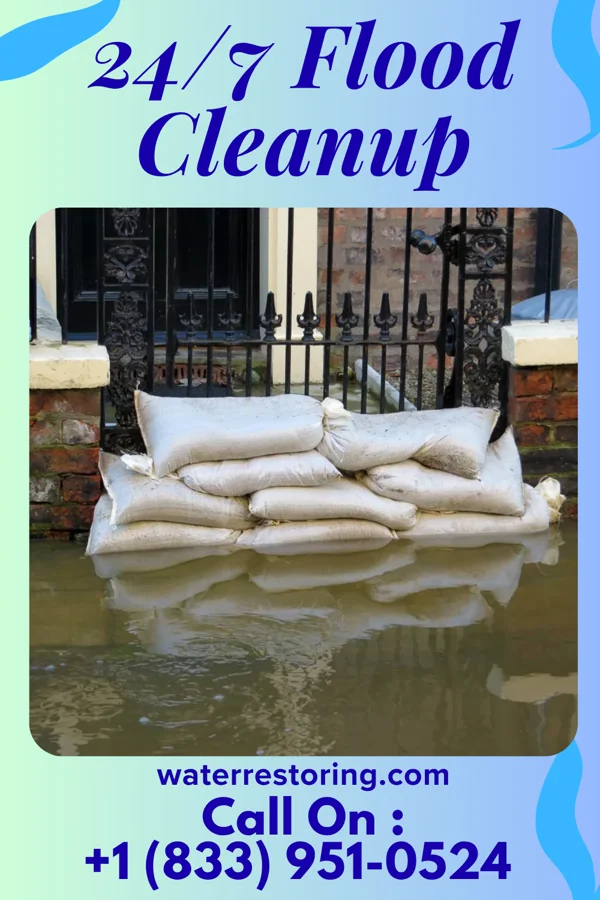 24/7 Flood Cleanup in Triadelphia, WV