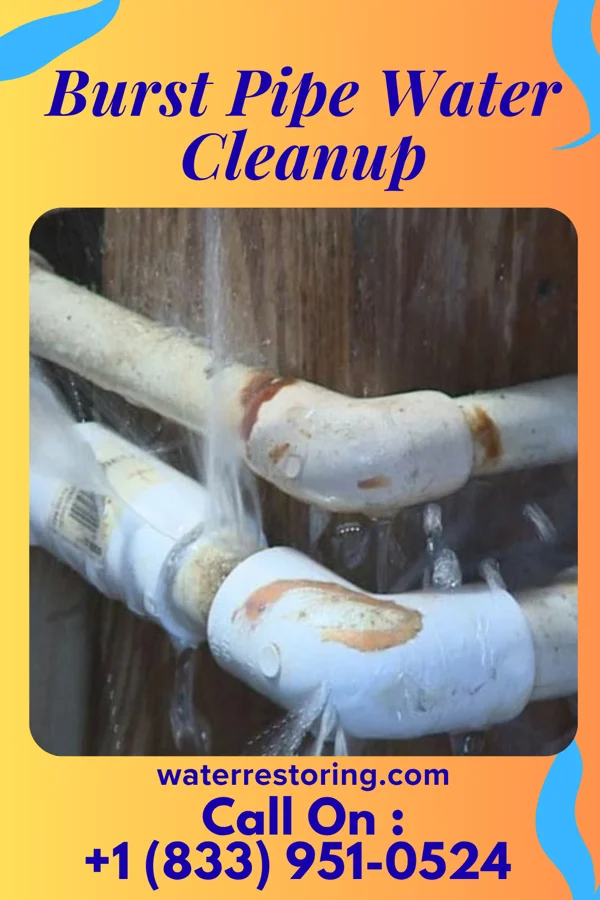 Burst Pipe Water Cleanup in Triadelphia, WV