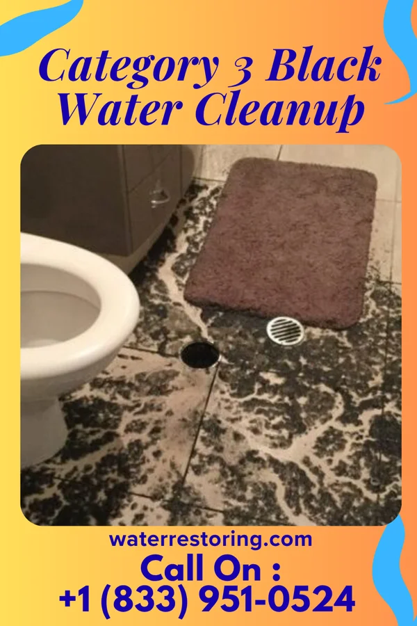 Category 3 Black Water Cleanup in Triadelphia, WV