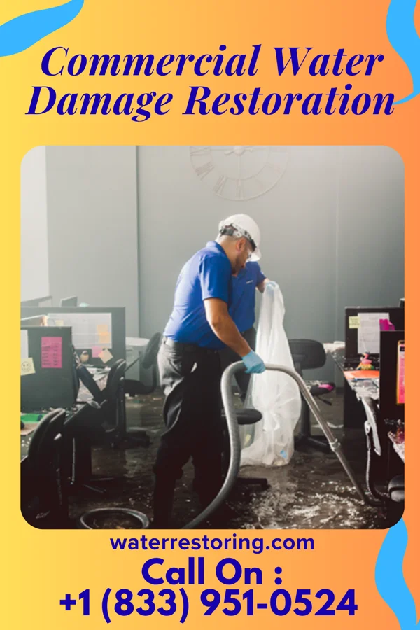 Commercial Water Damage Restoration in Triadelphia, WV