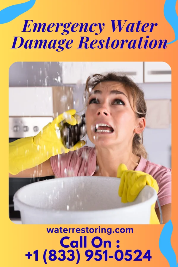 Emergency Water Damage Restoration in Triadelphia, WV