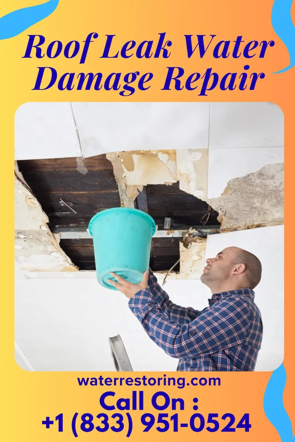 Roof Leak Water Damage Repair in Triadelphia, WV