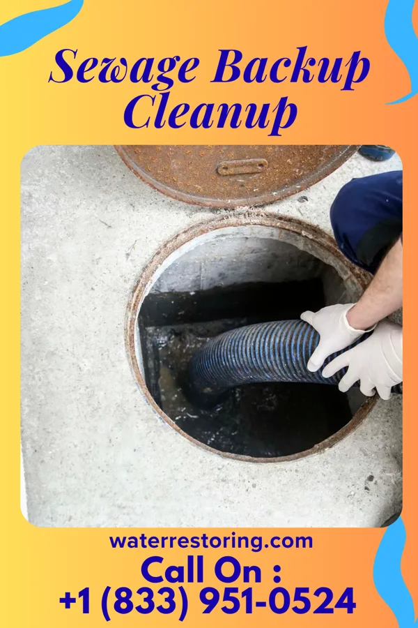 Sewage Backup Cleanup in Triadelphia, WV