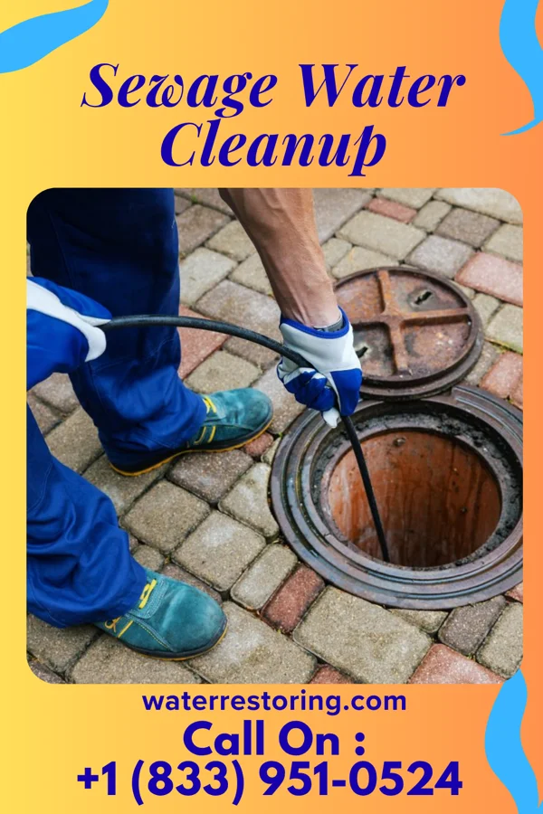 Sewage Water Cleanup in Triadelphia, WV